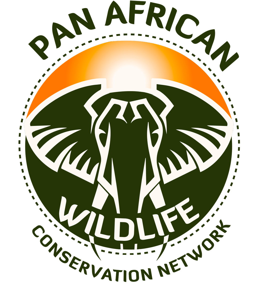 Panafricanwcn.org